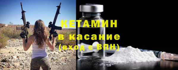 твердый Дмитровск