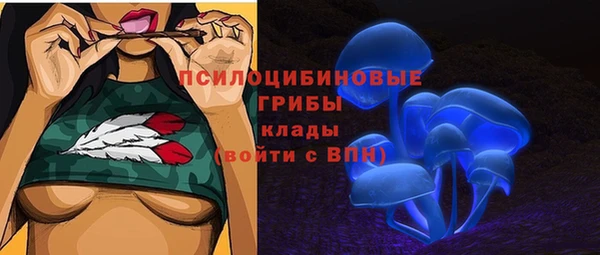 винт Гусь-Хрустальный