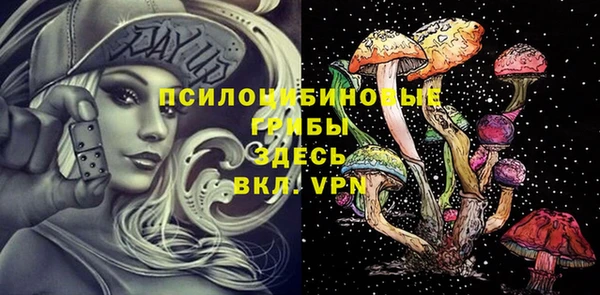 винт Гусь-Хрустальный