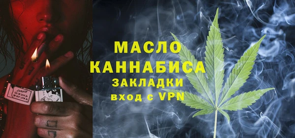 твердый Дмитровск