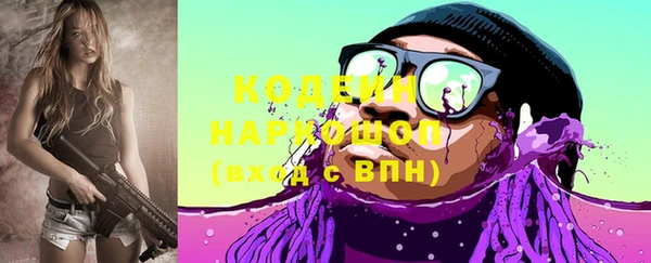 твердый Дмитровск